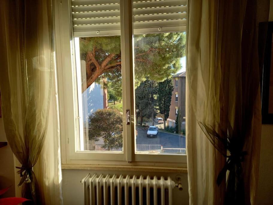 Casa Lola Apartment Livorno Luaran gambar